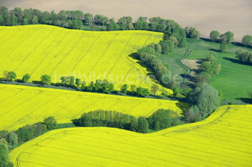 Luftaufnahme Altlandsberg - Feld- Landschaft gelb blühender Raps- Blüten an einem Wassergraben bei Altlandsberg im Bundesland Brandenburg