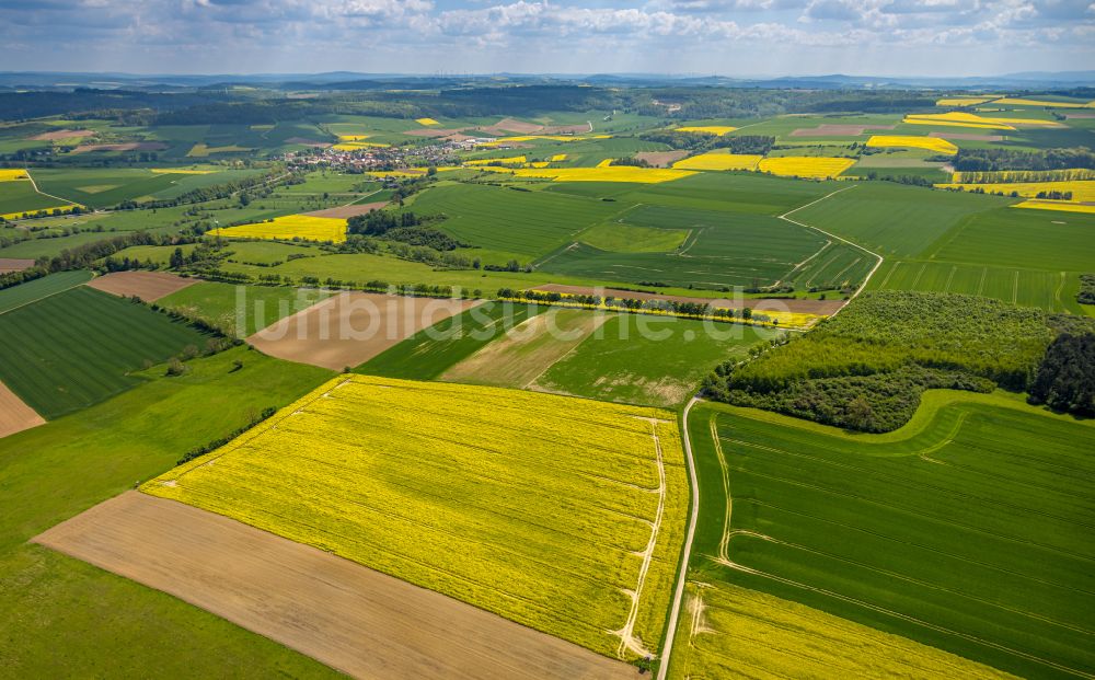 Erkeln aus der Vogelperspektive: Feld- Landschaft gelb blühender Raps- Blüten in Erkeln im Bundesland Nordrhein-Westfalen, Deutschland