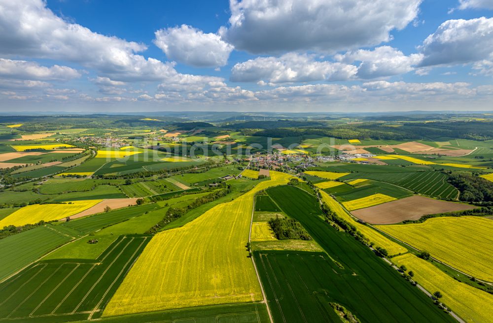 Luftbild Erkeln - Feld- Landschaft gelb blühender Raps- Blüten in Erkeln im Bundesland Nordrhein-Westfalen, Deutschland