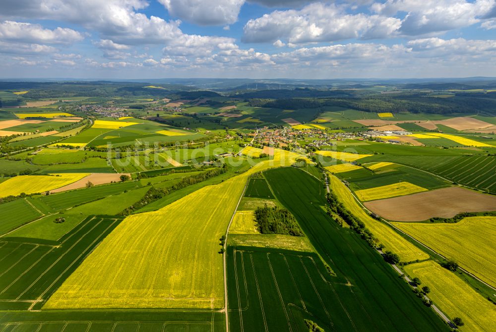 Luftaufnahme Erkeln - Feld- Landschaft gelb blühender Raps- Blüten in Erkeln im Bundesland Nordrhein-Westfalen, Deutschland