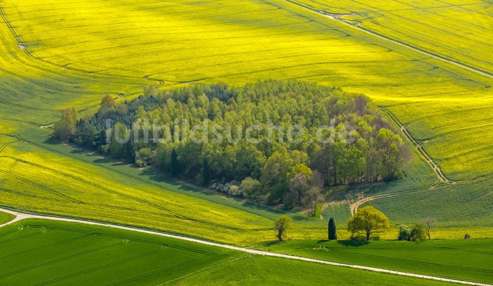 Luftbild Erkrath - Feld- Landschaft gelb blühender Raps- Blüten in Erkrath im Bundesland Nordrhein-Westfalen