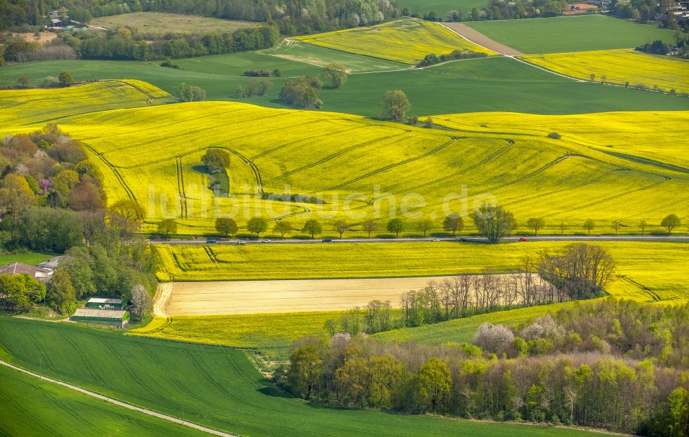 Luftaufnahme Erkrath - Feld- Landschaft gelb blühender Raps- Blüten in Erkrath im Bundesland Nordrhein-Westfalen