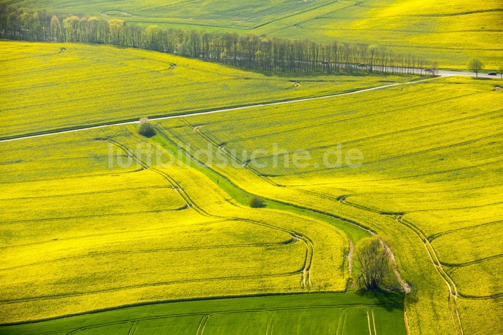 Luftbild Erkrath - Feld- Landschaft gelb blühender Raps- Blüten in Erkrath im Bundesland Nordrhein-Westfalen