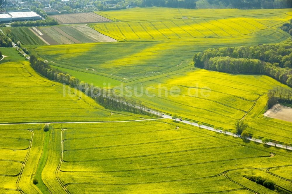 Luftaufnahme Erkrath - Feld- Landschaft gelb blühender Raps- Blüten in Erkrath im Bundesland Nordrhein-Westfalen