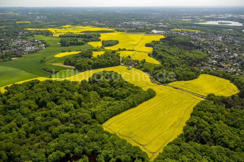 Luftaufnahme Erkrath - Feld- Landschaft gelb blühender Raps- Blüten in Erkrath im Bundesland Nordrhein-Westfalen