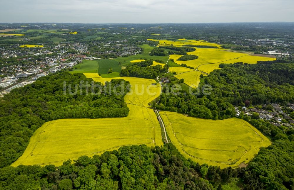 Erkrath aus der Vogelperspektive: Feld- Landschaft gelb blühender Raps- Blüten in Erkrath im Bundesland Nordrhein-Westfalen