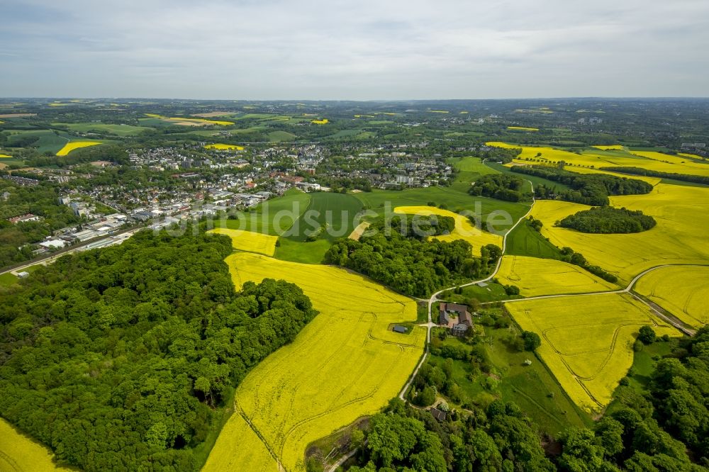 Luftbild Erkrath - Feld- Landschaft gelb blühender Raps- Blüten in Erkrath im Bundesland Nordrhein-Westfalen