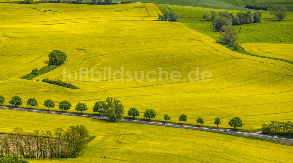 Luftbild Erkrath - Feld- Landschaft gelb blühender Raps- Blüten in Erkrath im Bundesland Nordrhein-Westfalen