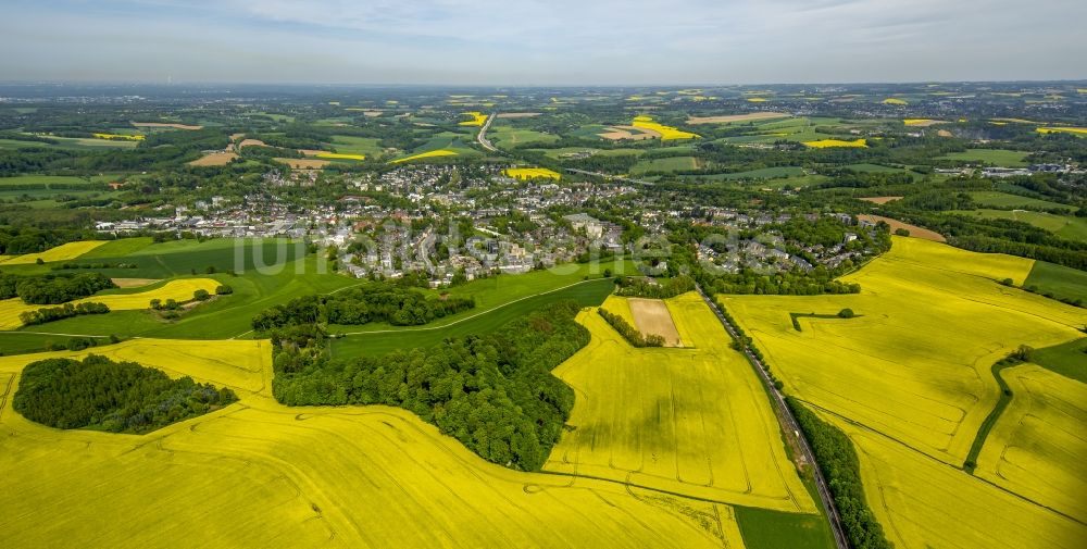 Erkrath von oben - Feld- Landschaft gelb blühender Raps- Blüten in Erkrath im Bundesland Nordrhein-Westfalen