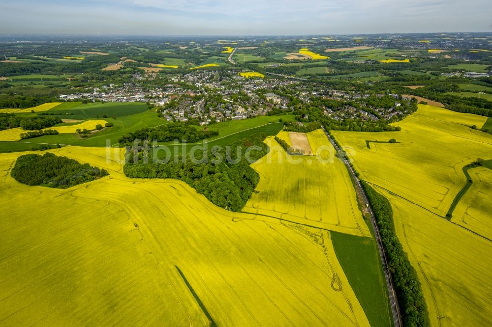 Erkrath aus der Vogelperspektive: Feld- Landschaft gelb blühender Raps- Blüten in Erkrath im Bundesland Nordrhein-Westfalen