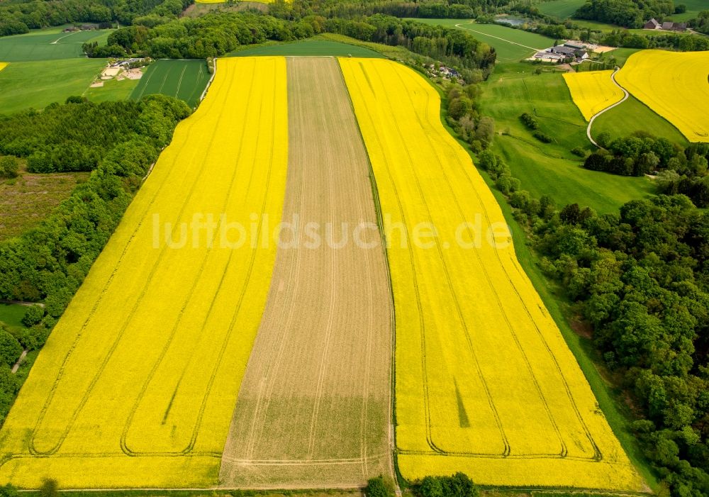 Luftaufnahme Essen - Feld- Landschaft gelb blühender Raps- Blüten in Essen im Bundesland Nordrhein-Westfalen