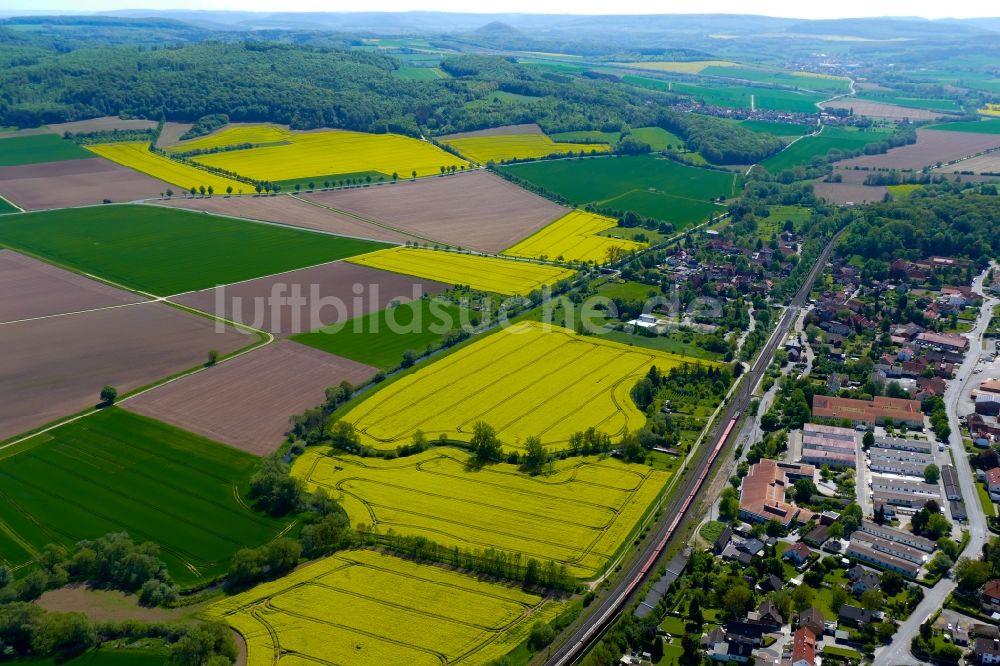 Friedland aus der Vogelperspektive: Feld- Landschaft gelb blühender Raps- Blüten in Friedland im Bundesland Niedersachsen, Deutschland