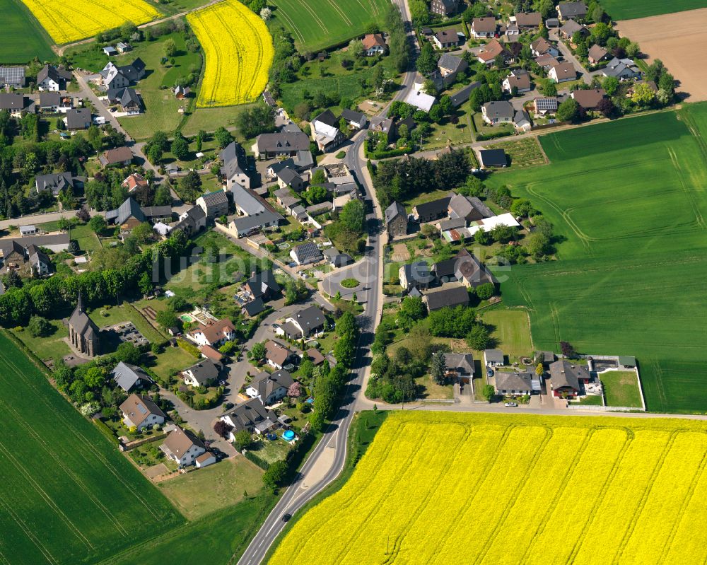 Gierschnach von oben - Feld- Landschaft gelb blühender Raps- Blüten in Gierschnach im Bundesland Rheinland-Pfalz, Deutschland