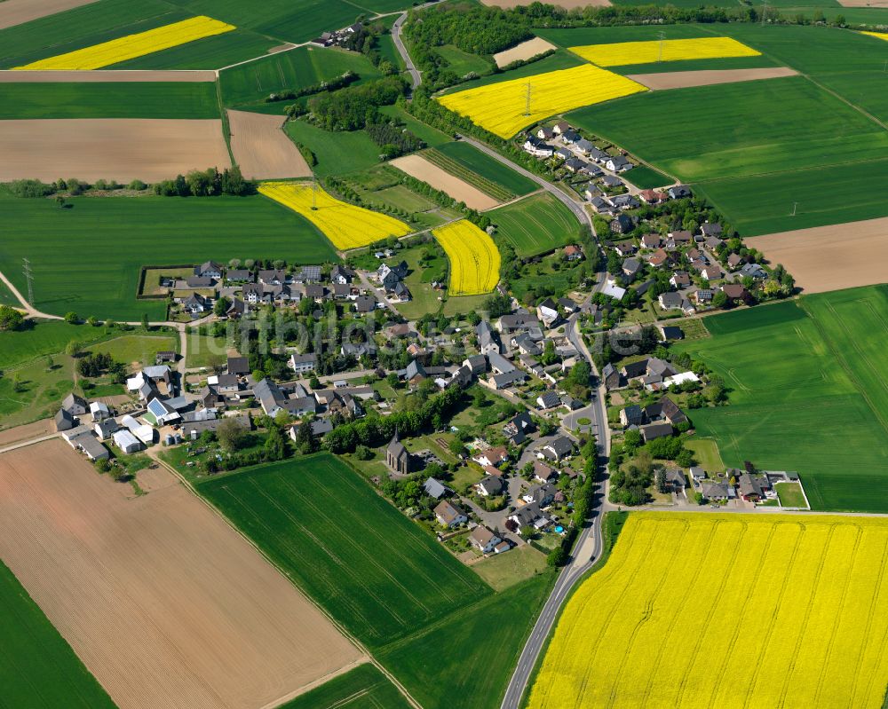 Gierschnach aus der Vogelperspektive: Feld- Landschaft gelb blühender Raps- Blüten in Gierschnach im Bundesland Rheinland-Pfalz, Deutschland