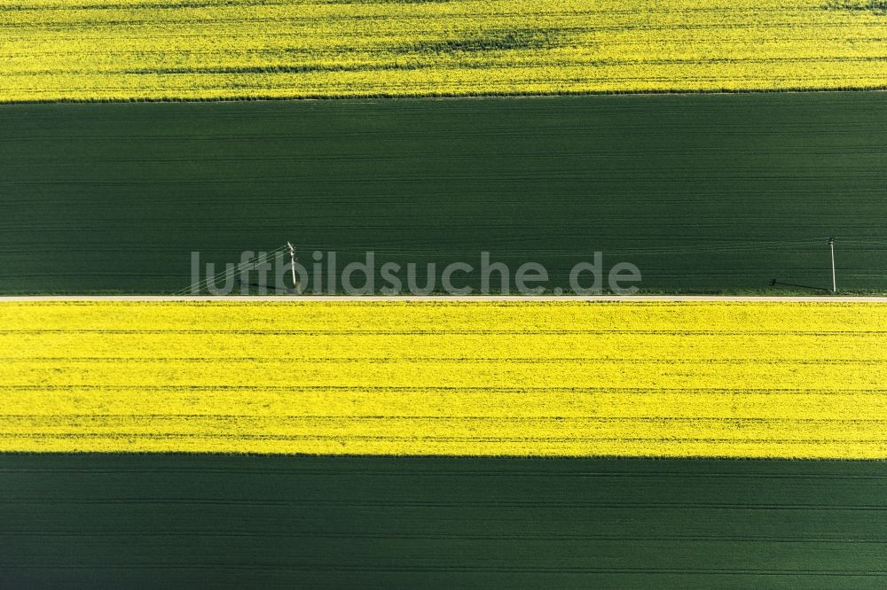 Greding aus der Vogelperspektive: Feld- Landschaft gelb blühender Raps- Blüten in Greding im Bundesland Bayern, Deutschland