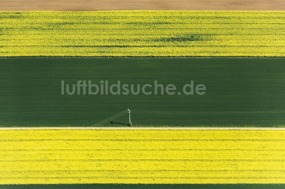 Luftbild Greding - Feld- Landschaft gelb blühender Raps- Blüten in Greding im Bundesland Bayern, Deutschland