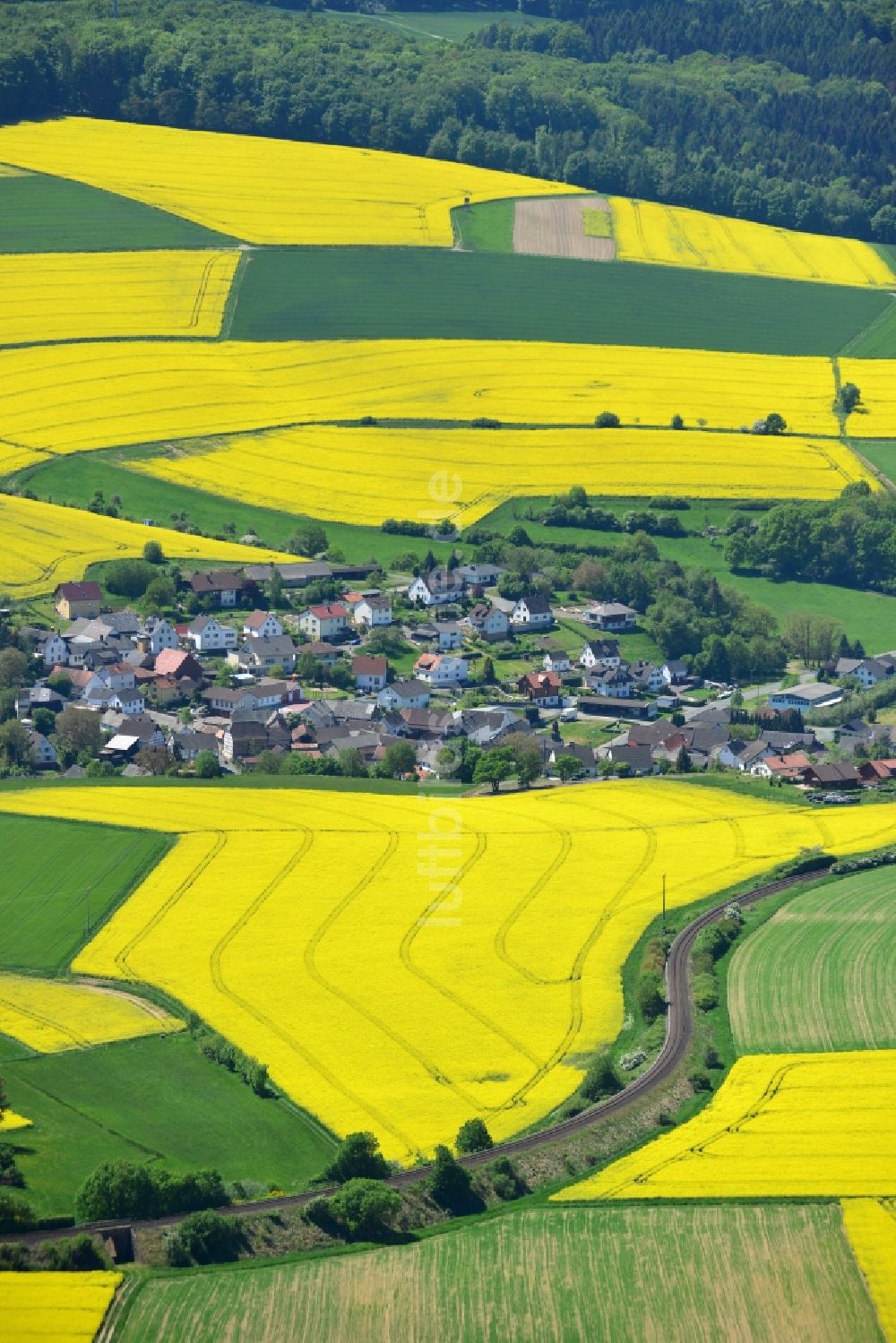 Grävenwiesbach von oben - Feld- Landschaft gelb blühender Raps- Blüten in Grävenwiesbach im Bundesland Hessen