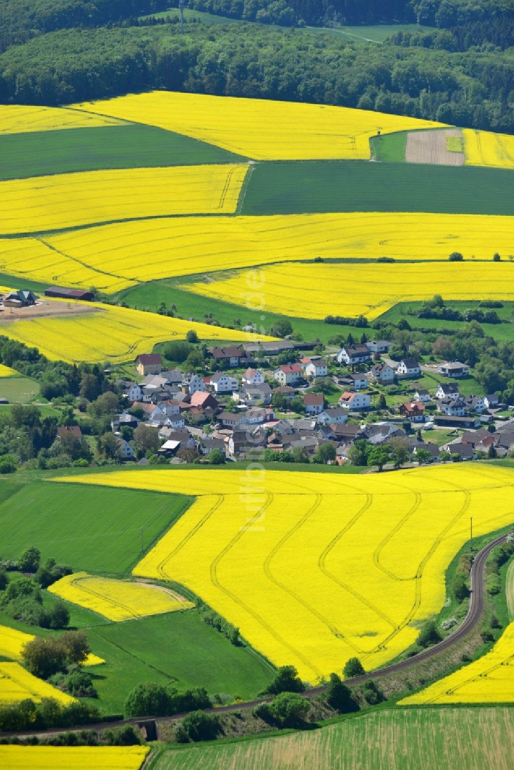 Grävenwiesbach aus der Vogelperspektive: Feld- Landschaft gelb blühender Raps- Blüten in Grävenwiesbach im Bundesland Hessen