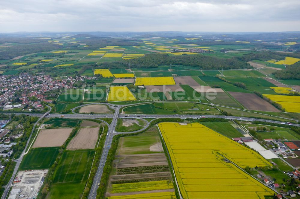 Göttingen von oben - Feld- Landschaft gelb blühender Raps- Blüten in Göttingen im Bundesland Niedersachsen, Deutschland