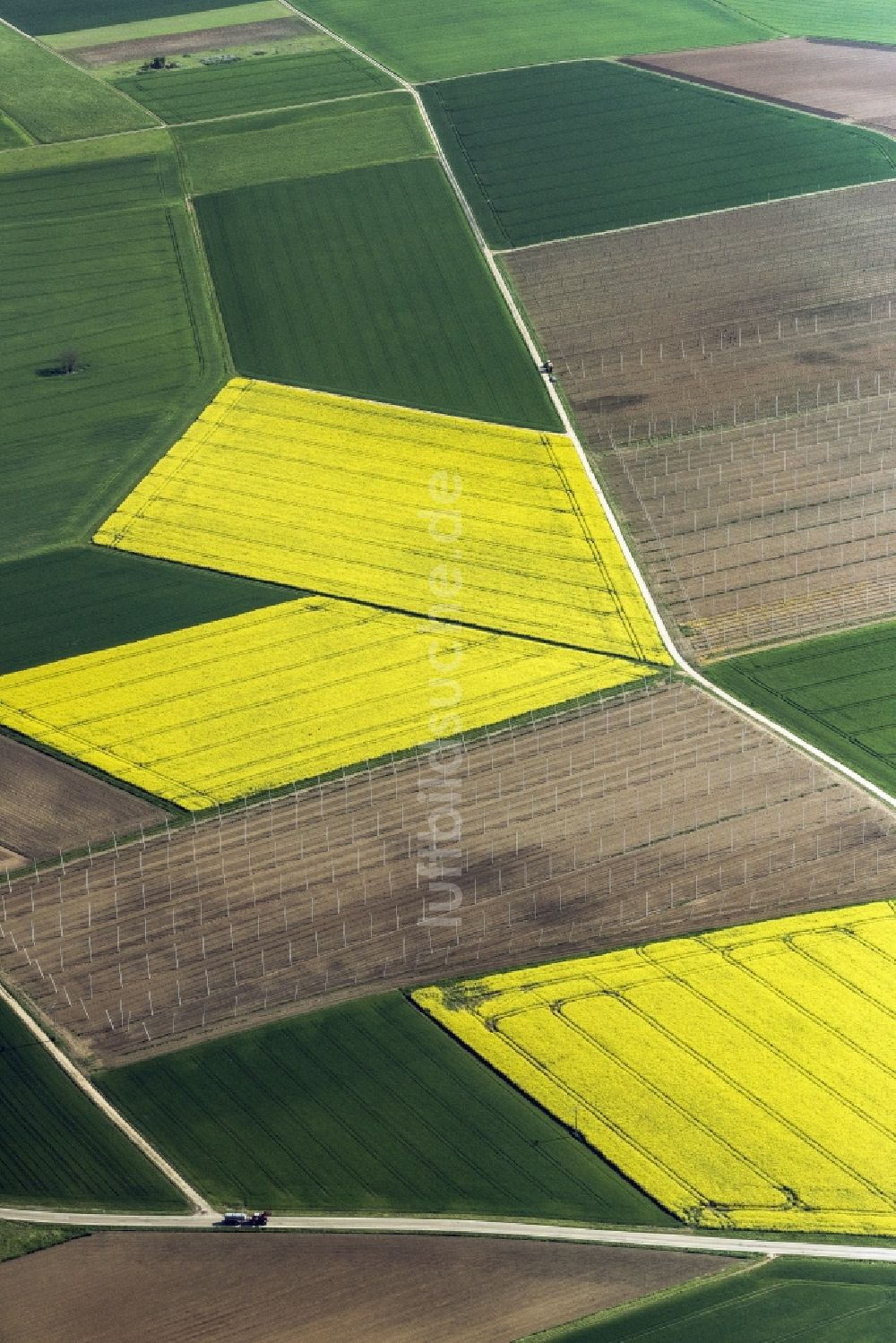 Luftbild Pförring - Feld- Landschaft gelb blühender Raps- Blüten und Hopfenfeld in Pförring im Bundesland Bayern, Deutschland