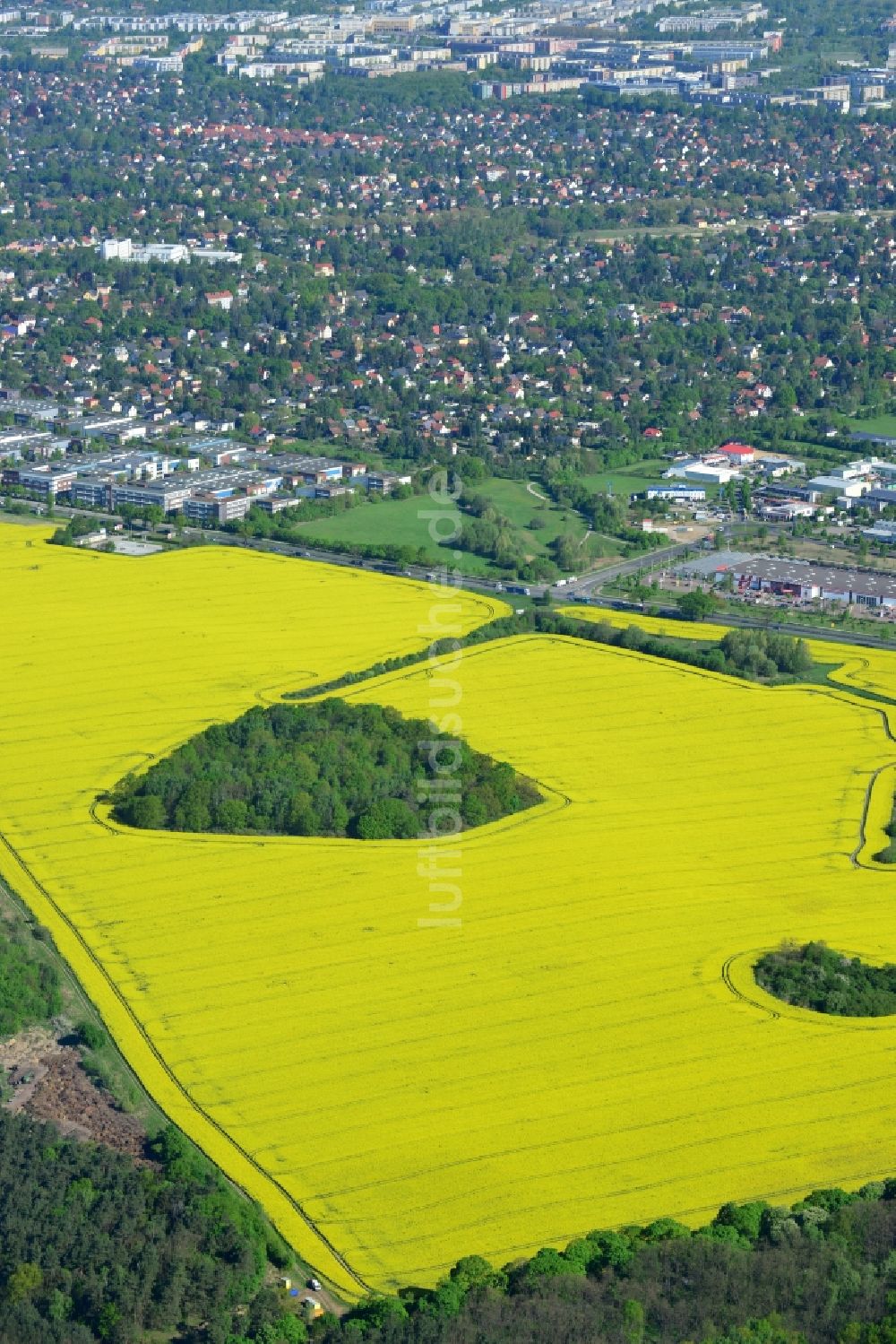 Hoppegarten aus der Vogelperspektive: Feld- Landschaft gelb blühender Raps- Blüten in Hoppegarten im Bundesland Brandenburg