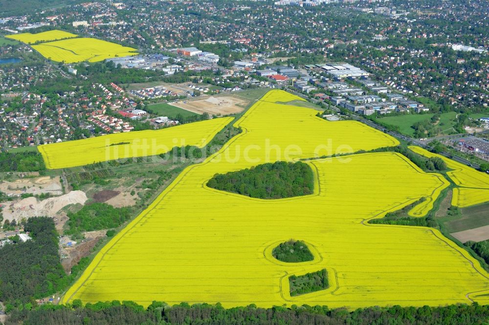 Luftbild Hoppegarten - Feld- Landschaft gelb blühender Raps- Blüten in Hoppegarten im Bundesland Brandenburg