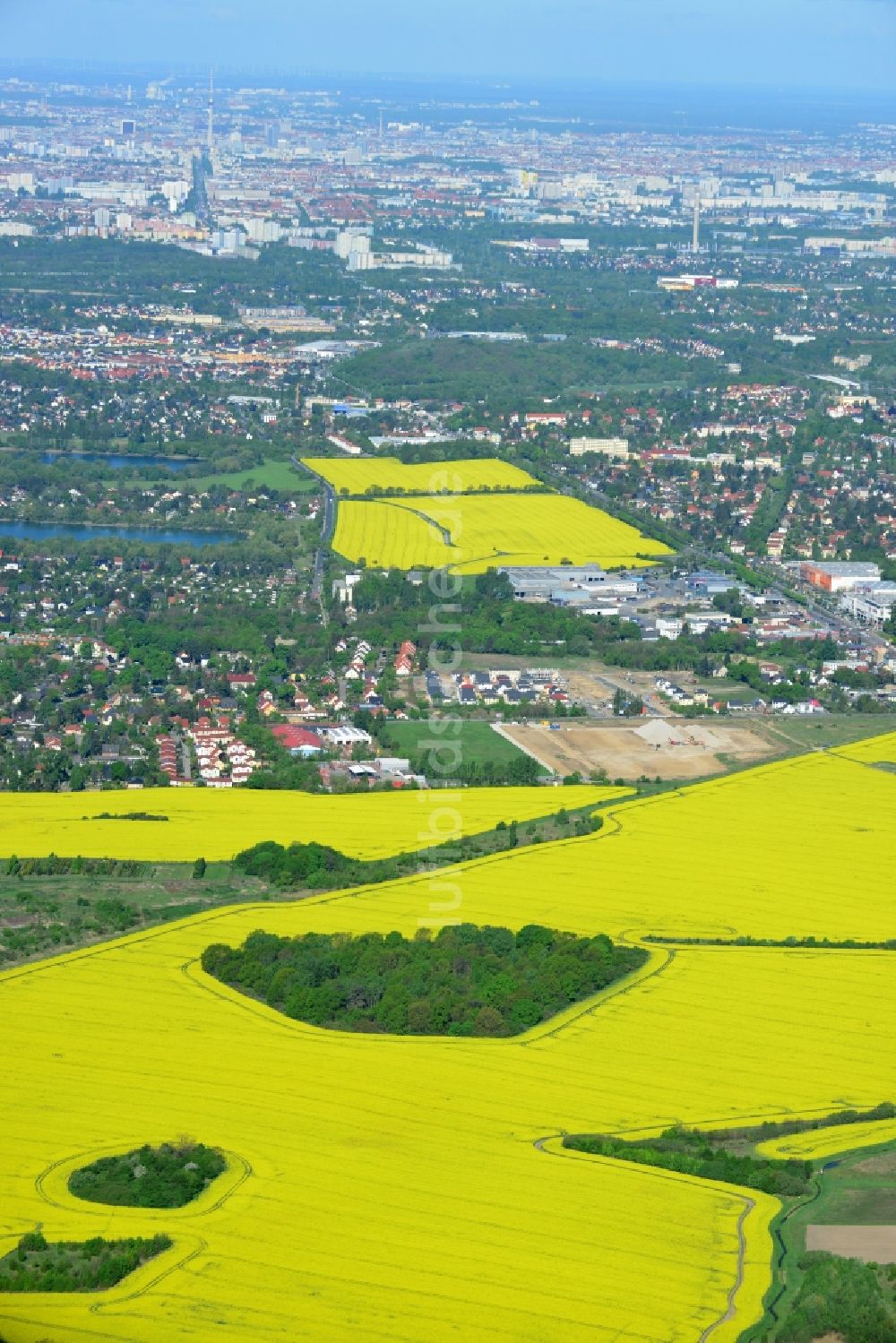 Hoppegarten aus der Vogelperspektive: Feld- Landschaft gelb blühender Raps- Blüten in Hoppegarten im Bundesland Brandenburg