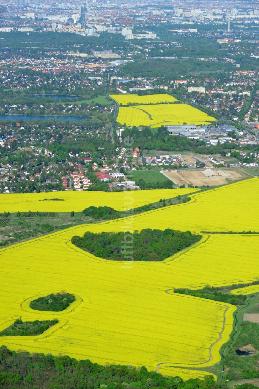 Hoppegarten aus der Vogelperspektive: Feld- Landschaft gelb blühender Raps- Blüten in Hoppegarten im Bundesland Brandenburg