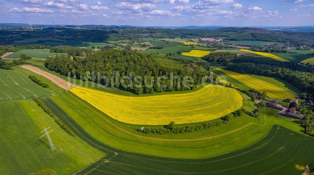 Kalletal von oben - Feld- Landschaft gelb blühender Raps- Blüten in Kalletal im Bundesland Nordrhein-Westfalen, Deutschland