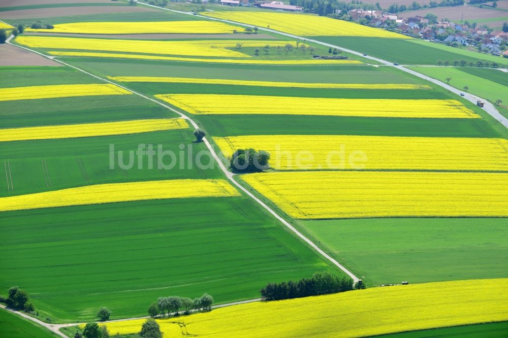 Karbach von oben - Feld- Landschaft gelb blühender Raps- Blüten in Karbach im Bundesland Bayern