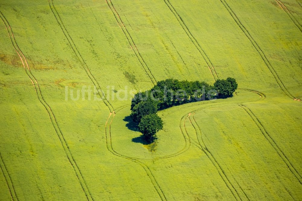 Kartkowo von oben - Feld- Landschaft gelb blühender Raps- Blüten in Kartkowo in Pomorskie, Polen