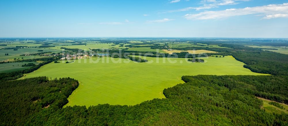 Luftaufnahme Kartkowo - Feld- Landschaft gelb blühender Raps- Blüten in Kartkowo in Pomorskie, Polen