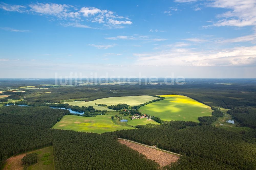 Kartkowo von oben - Feld- Landschaft gelb blühender Raps- Blüten in Kartkowo in Pomorskie, Polen