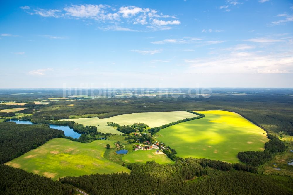 Kartkowo aus der Vogelperspektive: Feld- Landschaft gelb blühender Raps- Blüten in Kartkowo in Pomorskie, Polen