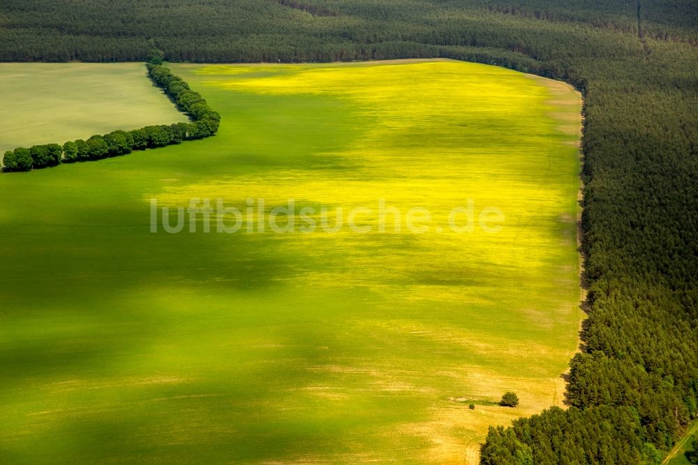 Kartkowo von oben - Feld- Landschaft gelb blühender Raps- Blüten in Kartkowo in Pomorskie, Polen