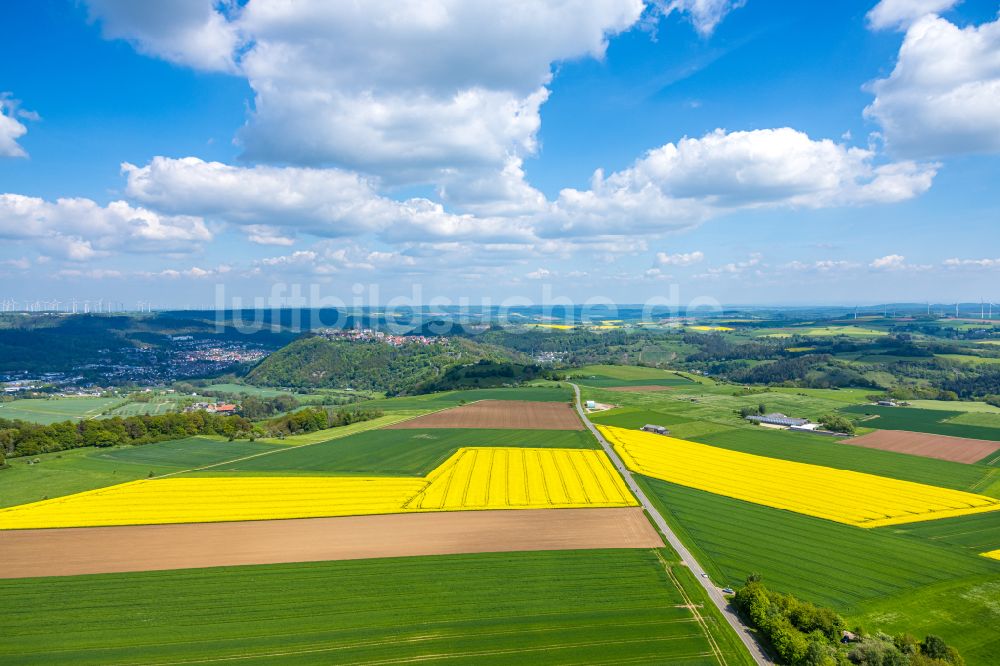 Marsberg aus der Vogelperspektive: Feld- Landschaft gelb blühender Raps- Blüten in Marsberg im Bundesland Nordrhein-Westfalen, Deutschland