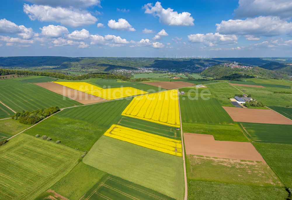 Luftaufnahme Marsberg - Feld- Landschaft gelb blühender Raps- Blüten in Marsberg im Bundesland Nordrhein-Westfalen, Deutschland