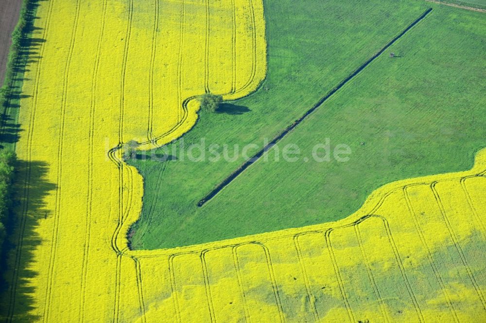 Luftbild Michendorf - Feld- Landschaft gelb blühender Raps- Blüten in Michendorf im Bundesland Brandenburg