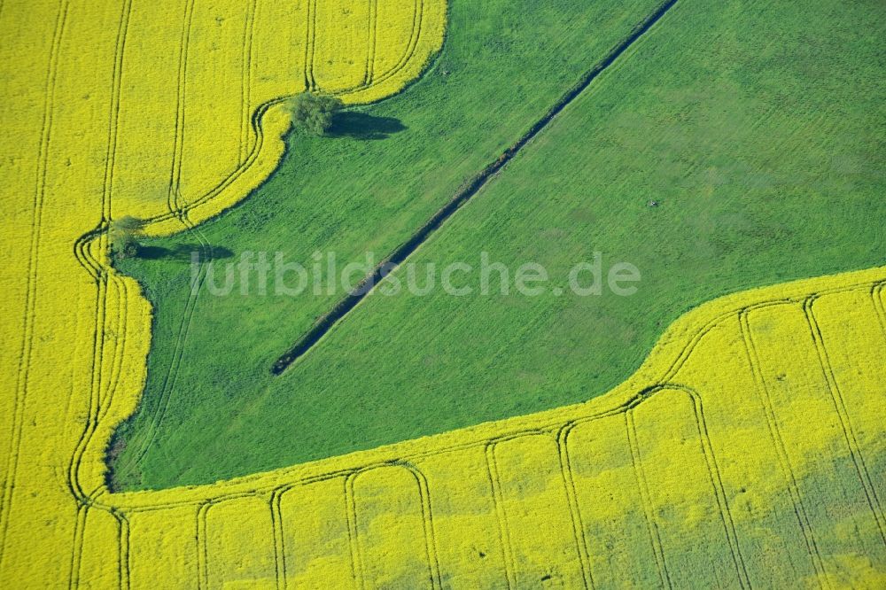 Luftaufnahme Michendorf - Feld- Landschaft gelb blühender Raps- Blüten in Michendorf im Bundesland Brandenburg