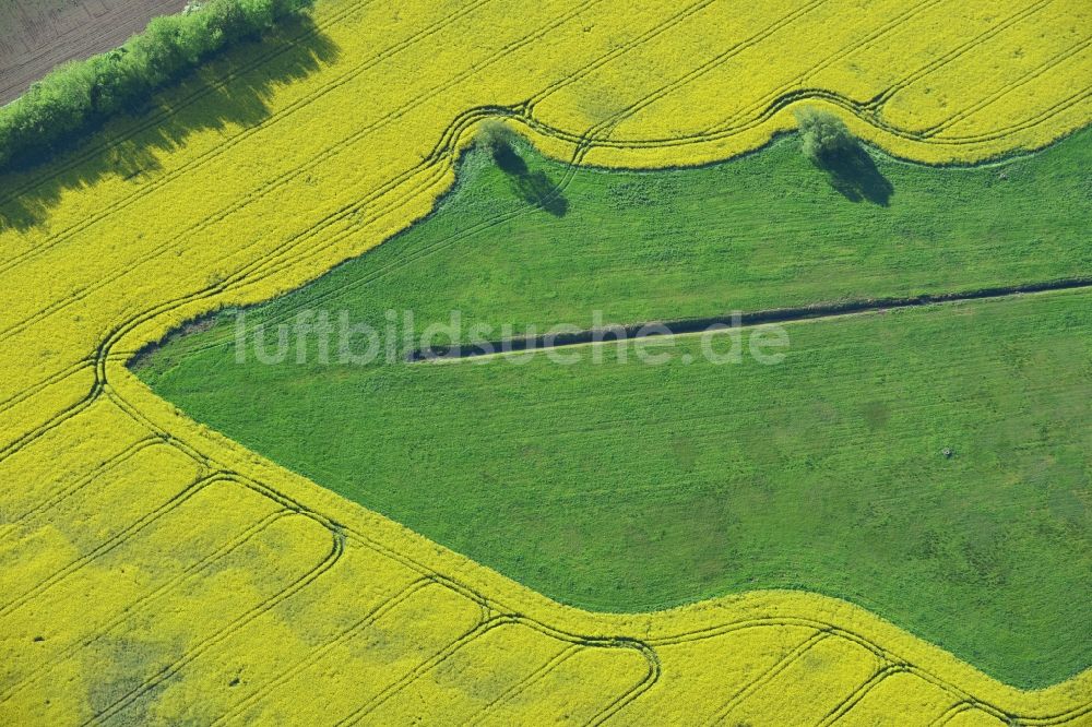 Michendorf aus der Vogelperspektive: Feld- Landschaft gelb blühender Raps- Blüten in Michendorf im Bundesland Brandenburg