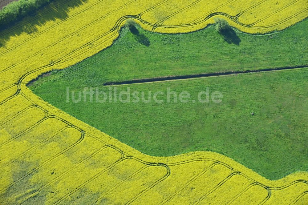 Luftaufnahme Michendorf - Feld- Landschaft gelb blühender Raps- Blüten in Michendorf im Bundesland Brandenburg