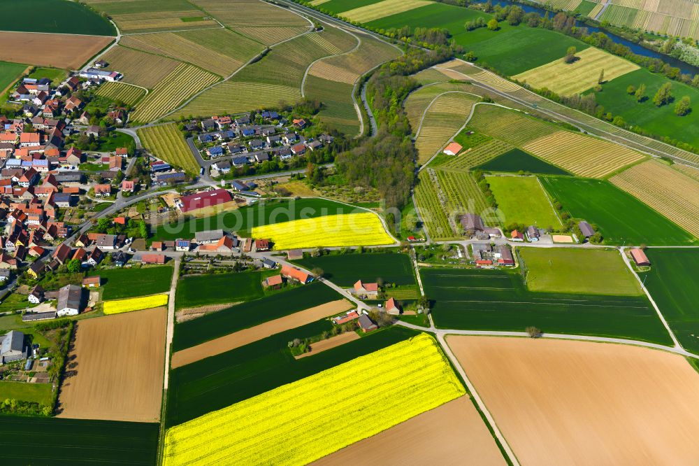 Neuses a.Berg aus der Vogelperspektive: Feld- Landschaft gelb blühender Raps- Blüten in Neuses a.Berg im Bundesland Bayern, Deutschland