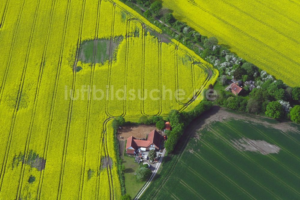 Luftaufnahme Ohldörp - Feld- Landschaft gelb blühender Raps- Blüten in Ohldörp im Bundesland Schleswig-Holstein, Deutschland