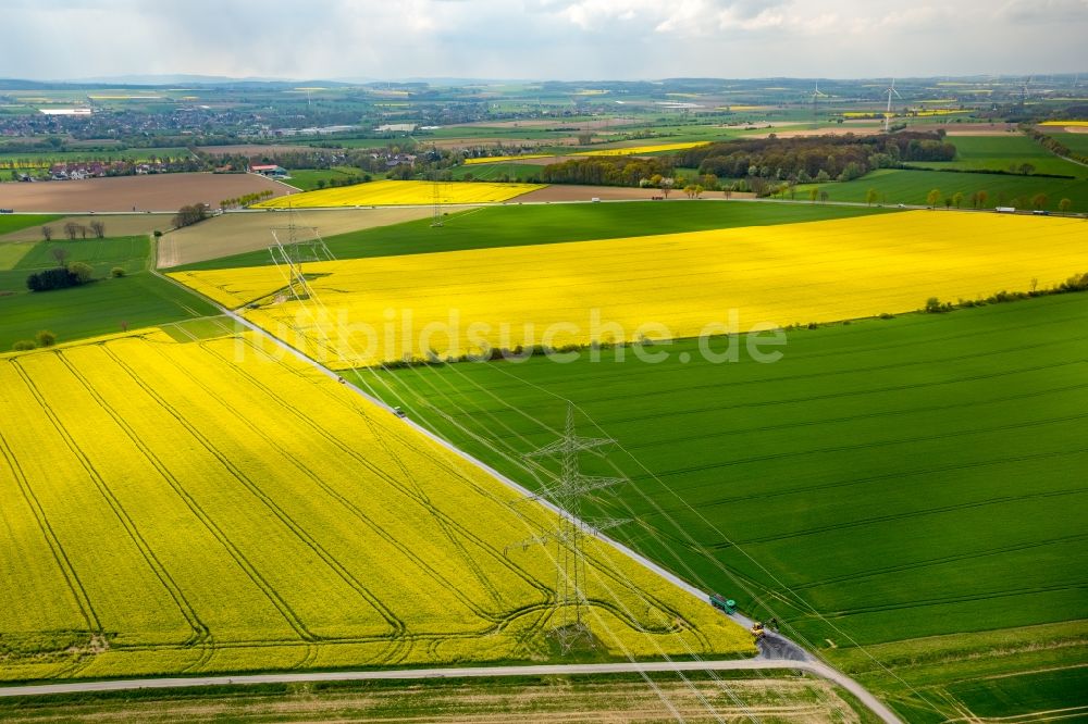 Werl von oben - Feld- Landschaft gelb blühender Raps- Blüten im Ortsteil Hilbeck in Werl im Bundesland Nordrhein-Westfalen