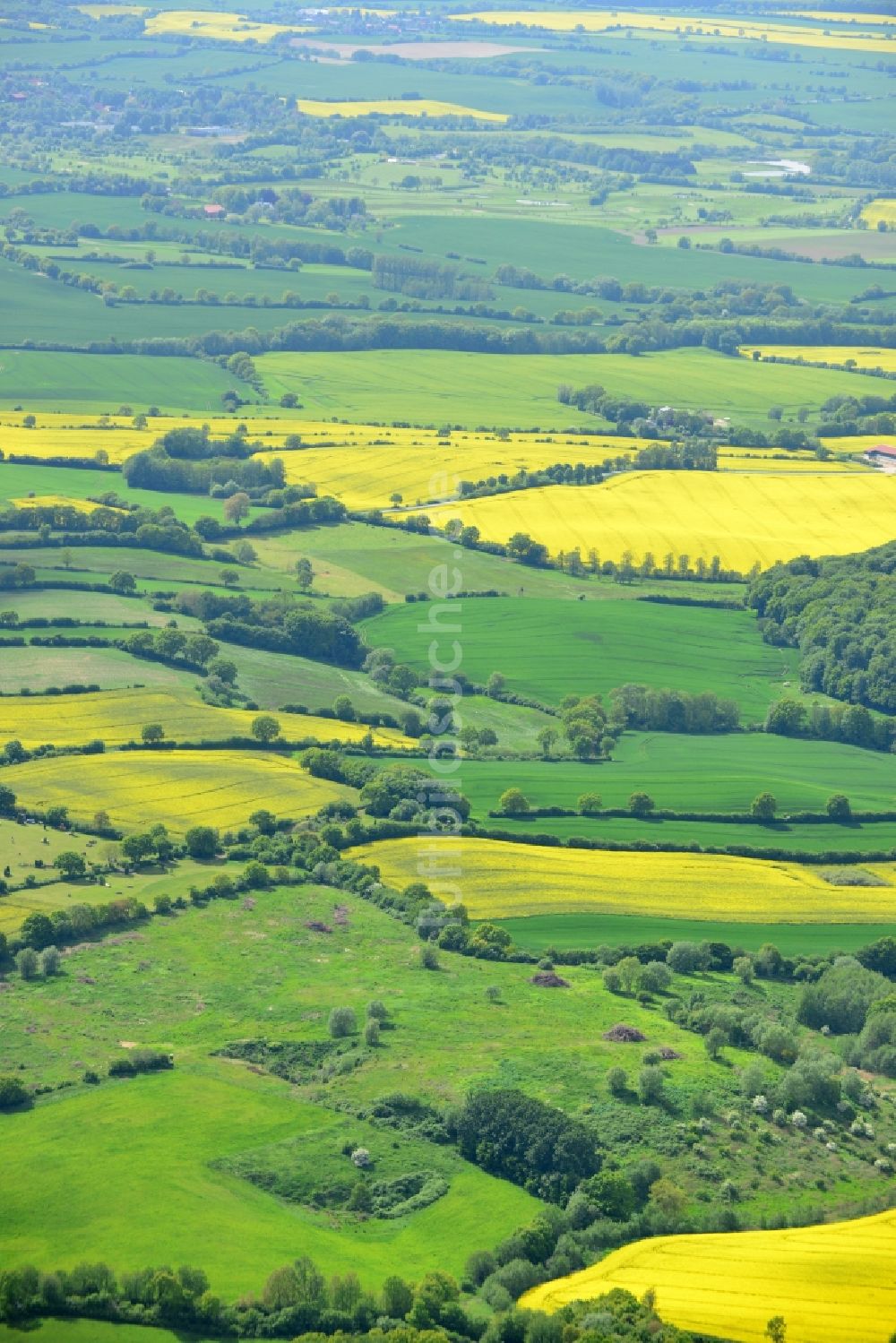 Luftbild Ratekau - Feld- Landschaft gelb blühender Raps- Blüten in Ratekau im Bundesland Schleswig-Holstein