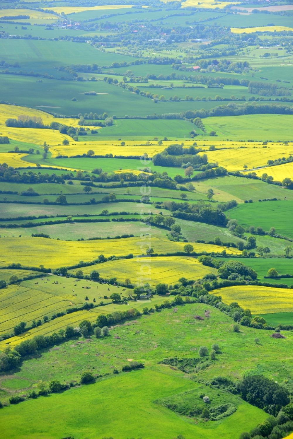 Luftaufnahme Ratekau - Feld- Landschaft gelb blühender Raps- Blüten in Ratekau im Bundesland Schleswig-Holstein