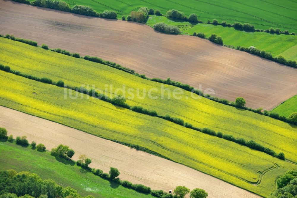 Ratekau aus der Vogelperspektive: Feld- Landschaft gelb blühender Raps- Blüten in Ratekau im Bundesland Schleswig-Holstein