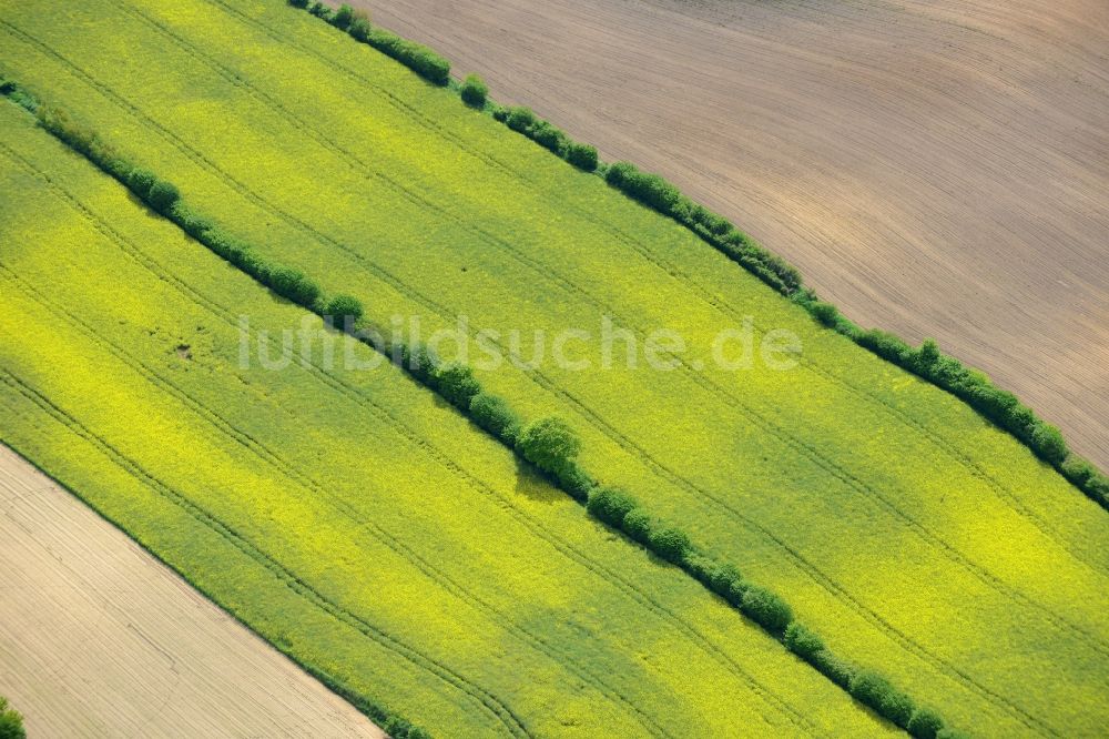 Luftbild Ratekau - Feld- Landschaft gelb blühender Raps- Blüten in Ratekau im Bundesland Schleswig-Holstein