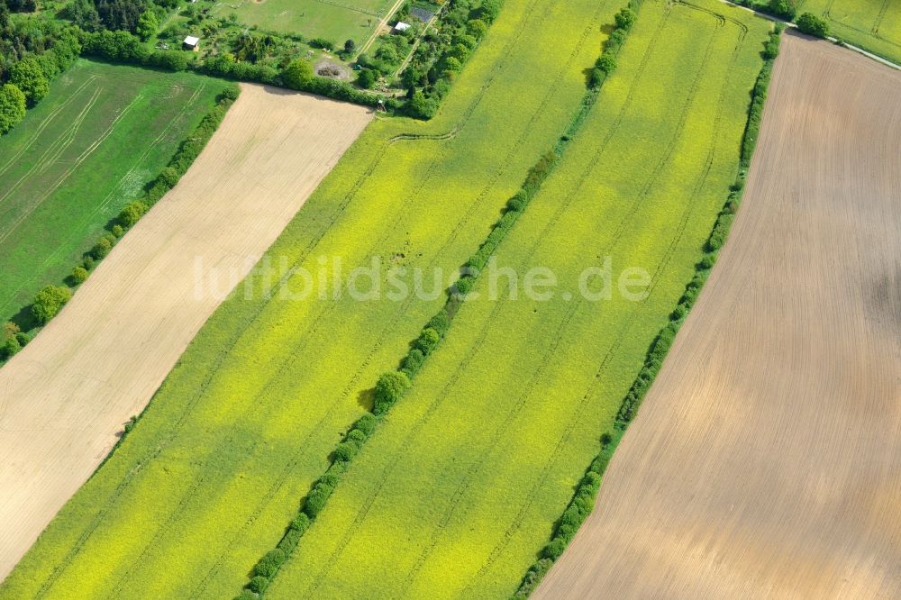 Ratekau von oben - Feld- Landschaft gelb blühender Raps- Blüten in Ratekau im Bundesland Schleswig-Holstein