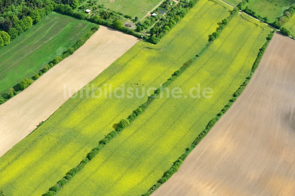 Ratekau aus der Vogelperspektive: Feld- Landschaft gelb blühender Raps- Blüten in Ratekau im Bundesland Schleswig-Holstein